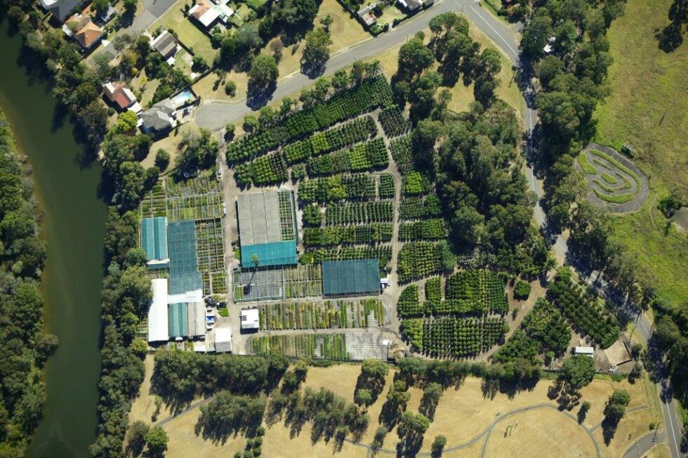 Nurseries Andreasens Green Wholesale Nurseries