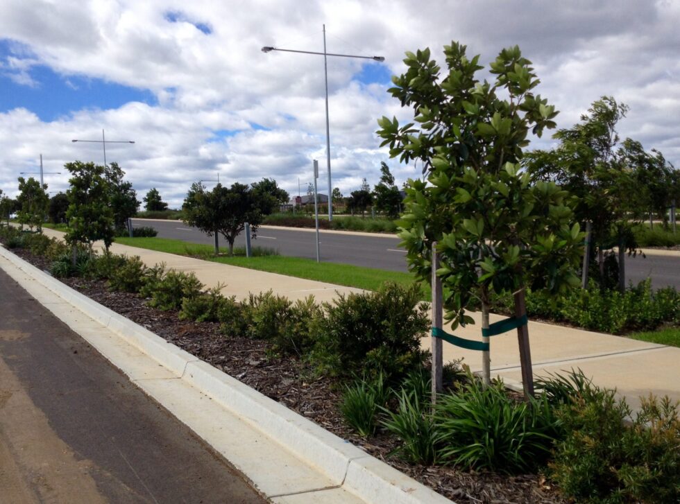 Landcom Oran Park Town - Andreasens Green