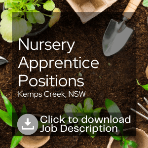 Nursery Apprentice Positions