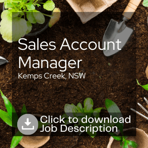Sales Account Manager Role