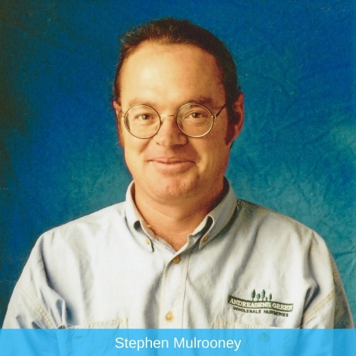 Stephen Mulrooney