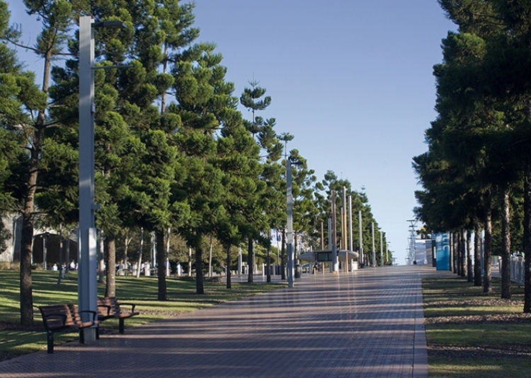 Sydney Olympic Park Boulevard