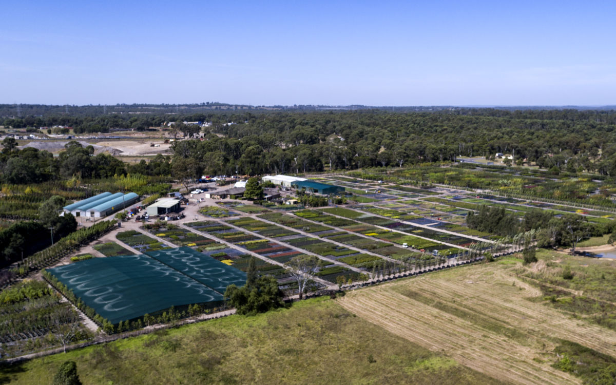 Nursery Kemps Creek