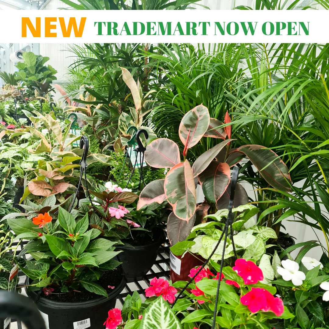 Andreasens Green Trademart now open