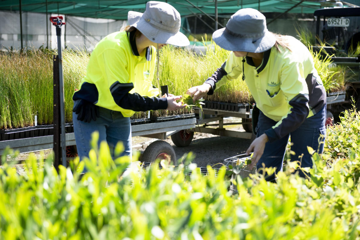 Andreasens Green team members working