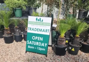 Trademart is open on Saturdays