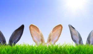 easter 23
