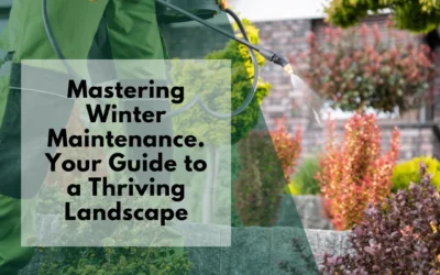 Mastering Winter Maintenance: Your Guide to a Thriving Landscape