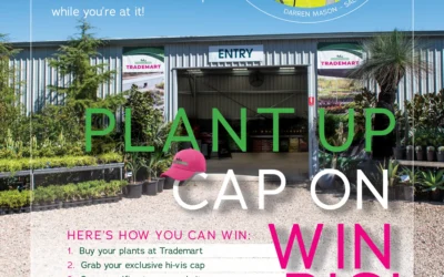 Plant Up, Caps On, Win Big